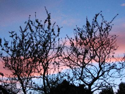 Crep&uacute;sculo en la Quinta de los Molinos